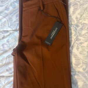 Tailorbyrd Men's Brown Pants